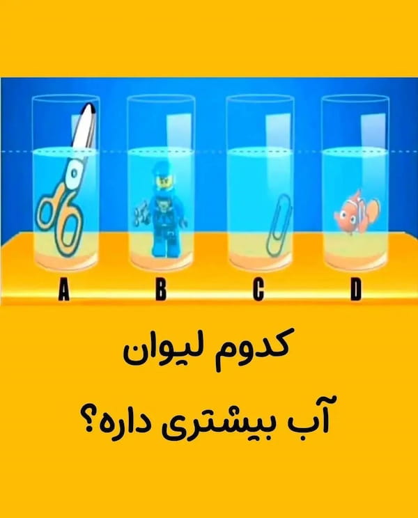 عکس-کت زنانه مازراتی