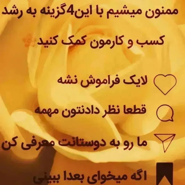 عکس-بلوز بچگانه دورس