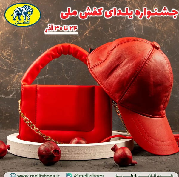 عکس-کفش زنانه کفش ملی