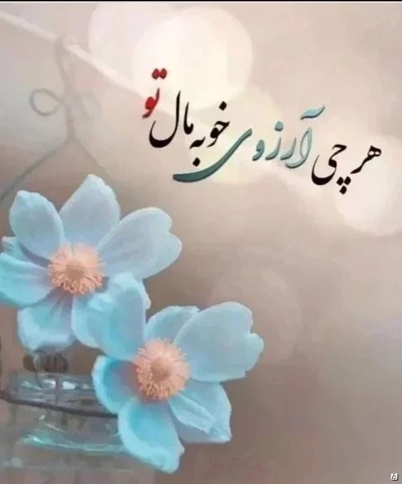 عکس-پانچو زنانه حریر