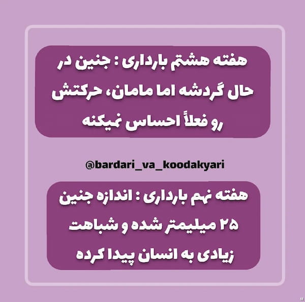 عکس-لباس بارداری زنانه