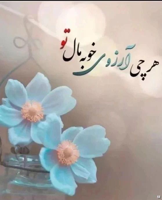 عکس-مانتو زنانه اسکاچی