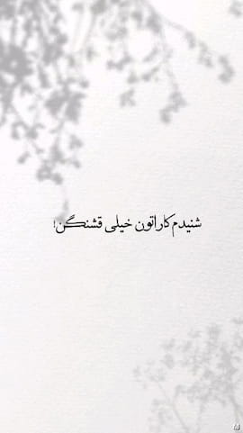 شلوار زنانه