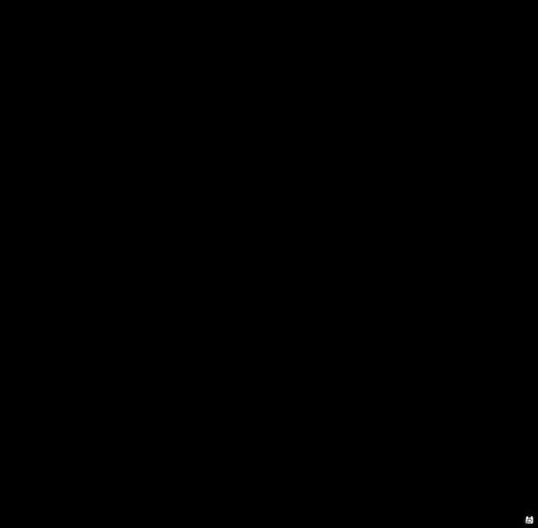 عکس-تیشرت خرسی زنانه