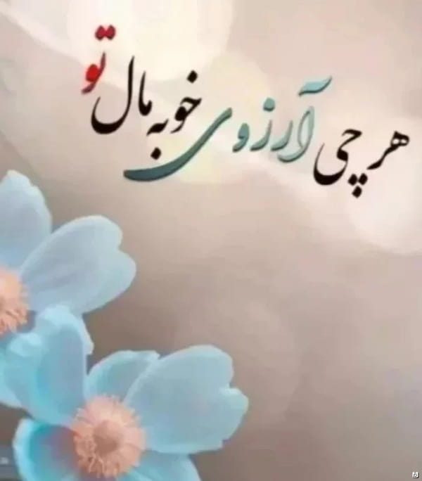 عکس-مانتو زنانه شانتون