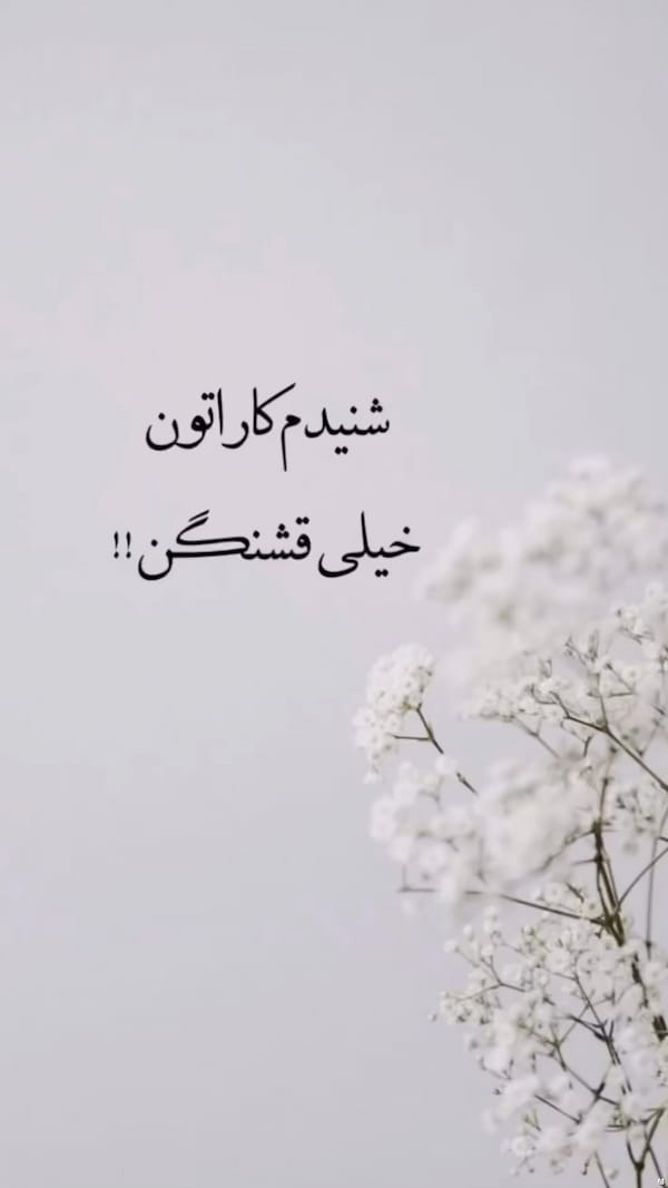 عکس-کفش زنانه