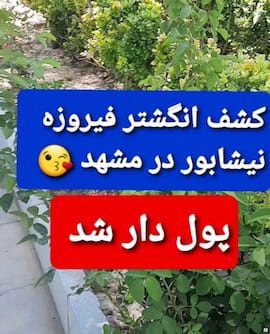 انگشتر مردانه فیروزه