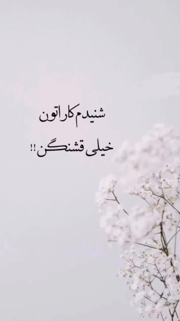 عکس-ست لباس زیر زنانه