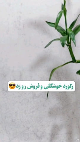 ست دخترانه