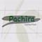 فروشگاه pachira_collection