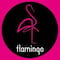 فروشگاه flamingoo_boutiqe