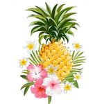 فروشگاه pineapple_womenclothes