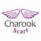 فروشگاه charook_scarf