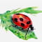 فروشگاه onlineshop_ladybird