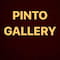 فروشگاه pinto.gallery